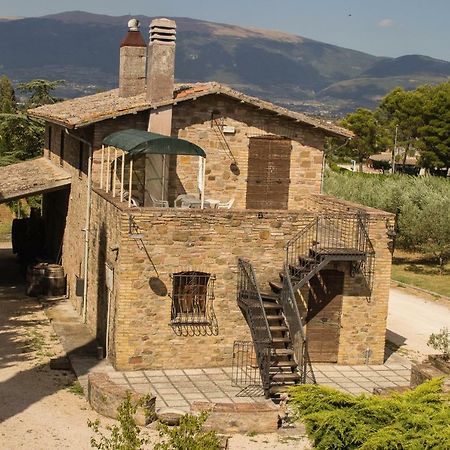 Country House Carmelita Limigiano エクステリア 写真