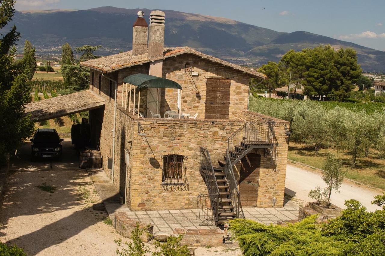 Country House Carmelita Limigiano エクステリア 写真